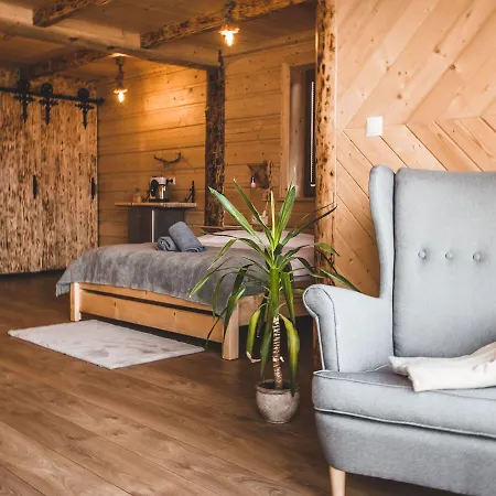 Dom Tatrzanski Ewa Deluxe Отель типа 