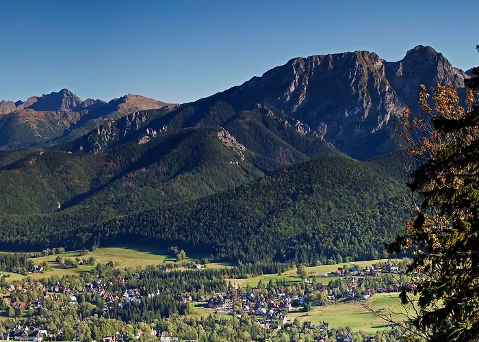 Bed and breakfast Dom Tatrzanski Ewa Deluxe 3*